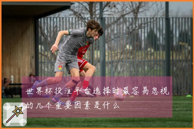 世界杯投注平台选择时最容易忽视的几个重要因素是什么