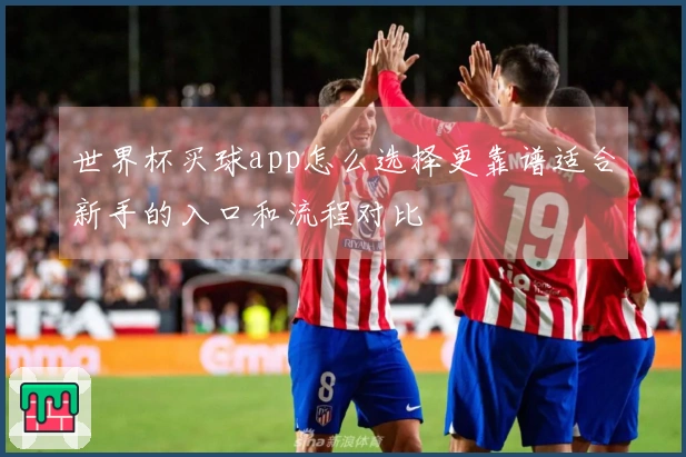 世界杯买球app怎么选择更靠谱适合新手的入口和流程对比