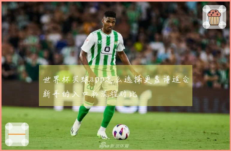世界杯买球app怎么选择更靠谱适合新手的入口和流程对比